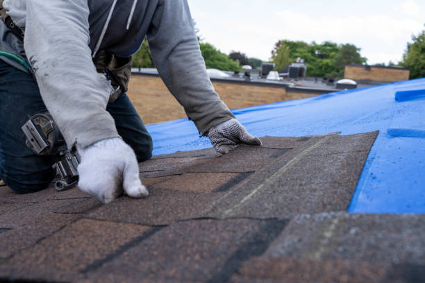Best Metal Roofing Installation  in Fall City, WA